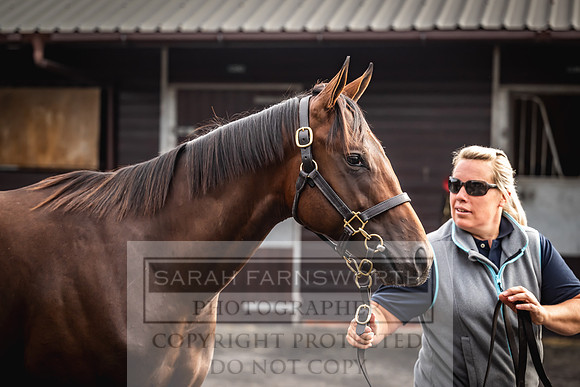 Goffs UK Premier Yearling Sale 2023-358