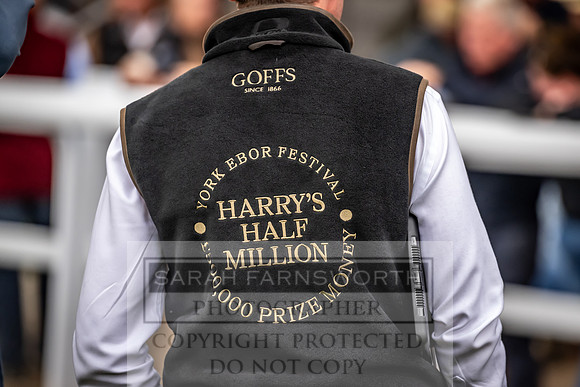 Goffs UK Premier Yearling Sale 2023-171