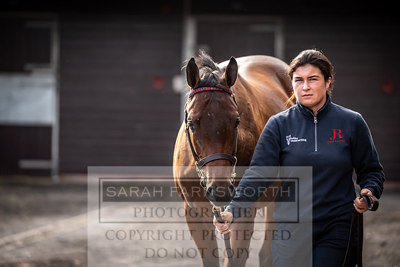 Goffs UK Premier Yearling Sale 2023-351