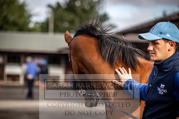 Goffs UK Premier Yearling Sale 2023-340