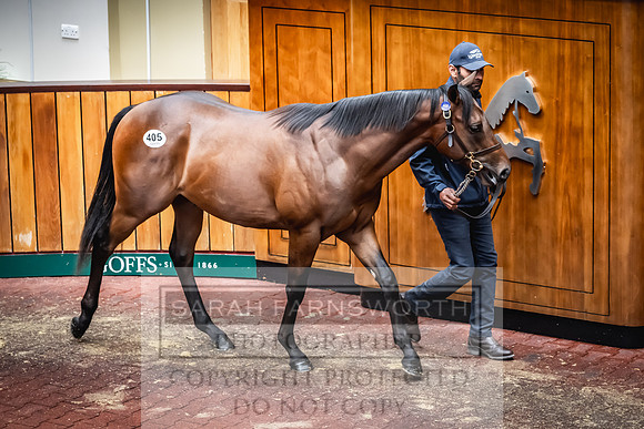 Goffs UK Premier Yearling Sale 2023-501