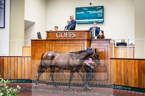 Goffs UK Premier Yearling Sale 2023-433