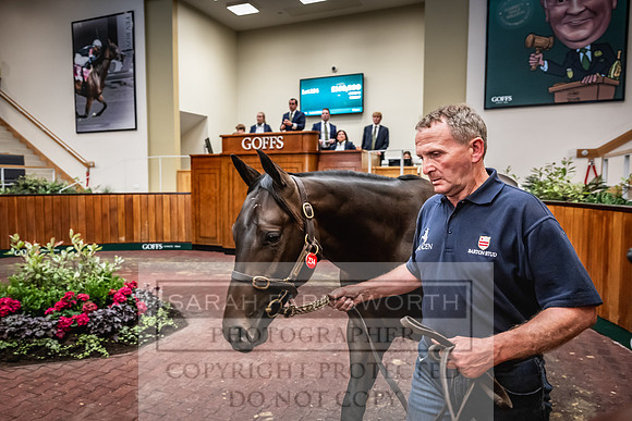 Goffs UK Premier Yearling Sale 2023-332