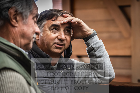 Goffs UK Premier Yearling Sale 2023-489
