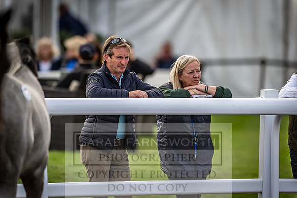 Goffs UK Premier Yearling Sale 2023-278