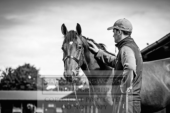 Goffs UK Premier Yearling Sale 2023-345
