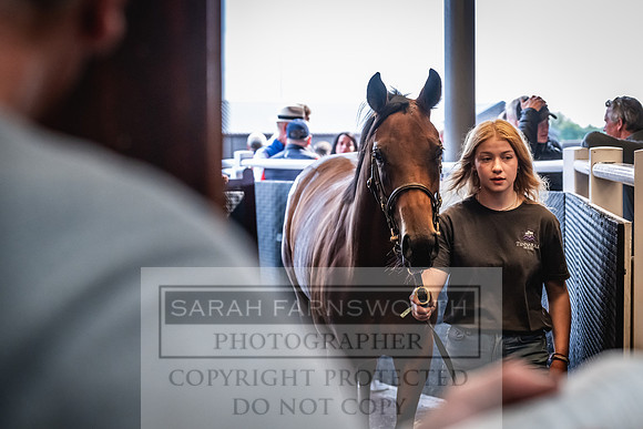 Goffs UK Premier Yearling Sale 2023-129