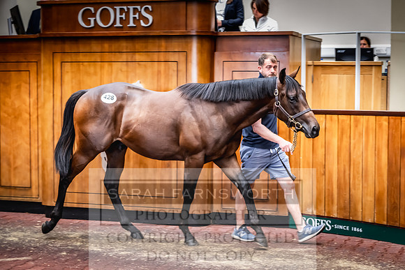 Goffs UK Premier Yearling Sale 2023-530
