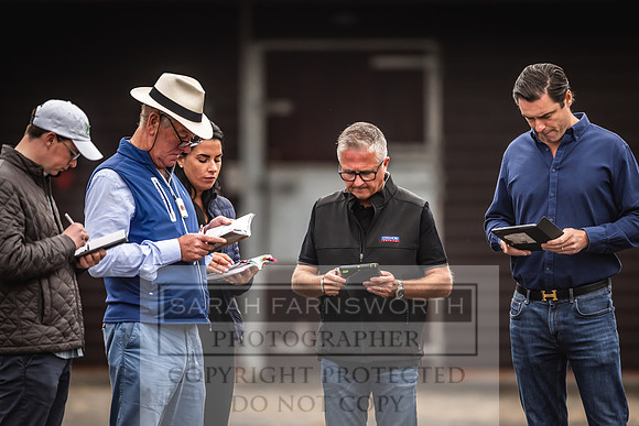 Goffs UK Premier Yearling Sale 2023-99