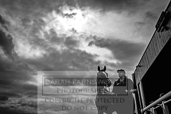 Goffs UK Premier Yearling Sale 2023-145