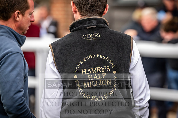 Goffs UK Premier Yearling Sale 2023-170