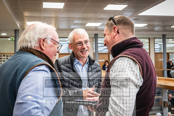 Goffs UK Premier Yearling Sale 2023-209