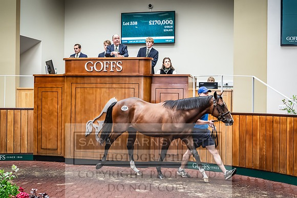 Goffs UK Premier Yearling Sale 2023-467