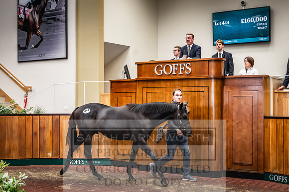 Goffs UK Premier Yearling Sale 2023-538