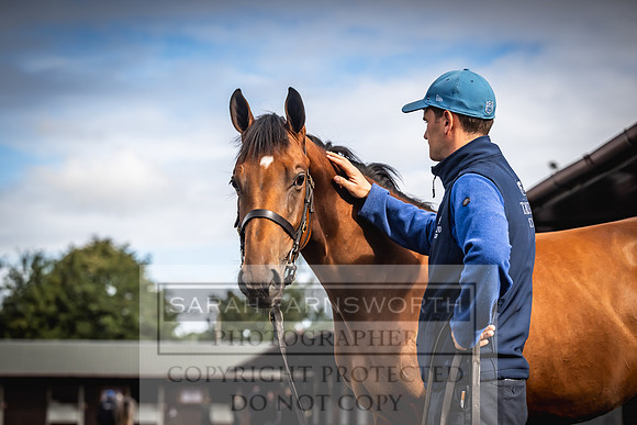 Goffs UK Premier Yearling Sale 2023-346