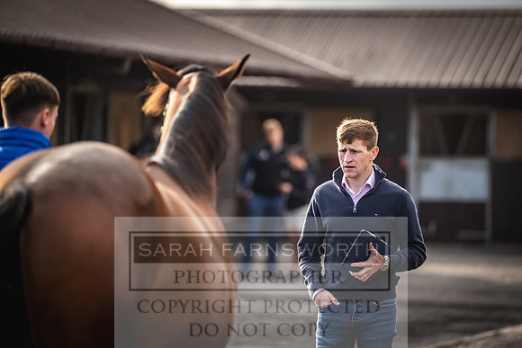 Goffs UK Premier Yearling Sale 2023-338