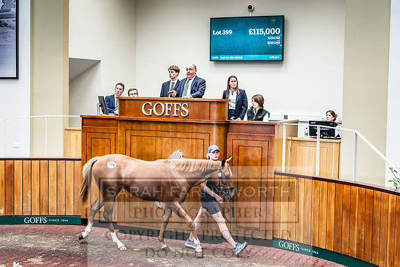 Goffs UK Premier Yearling Sale 2023-495
