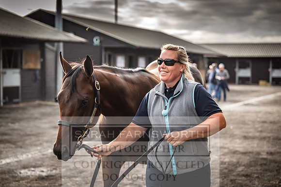 Goffs UK Premier Yearling Sale 2023-355