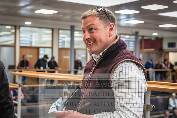 Goffs UK Premier Yearling Sale 2023-214
