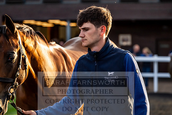 Goffs UK Premier Yearling Sale 2023-310