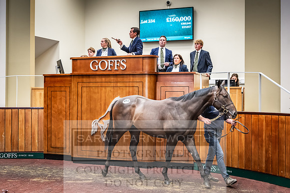 Goffs UK Premier Yearling Sale 2023-331