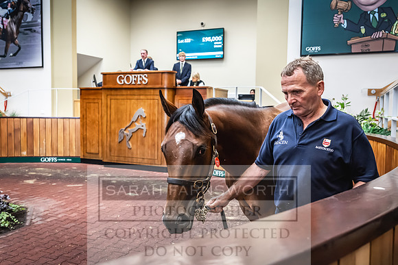 Goffs UK Premier Yearling Sale 2023-446