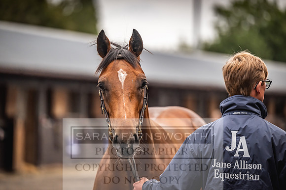 Goffs UK Premier Yearling Sale 2023-15