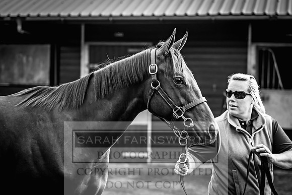 Goffs UK Premier Yearling Sale 2023-357