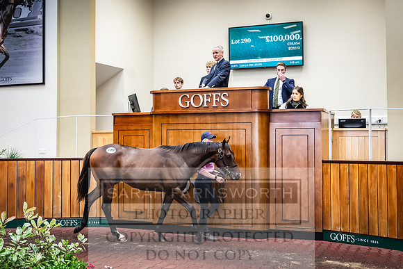 Goffs UK Premier Yearling Sale 2023-432