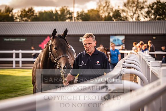 Goffs UK Premier Yearling Sale 2023-322