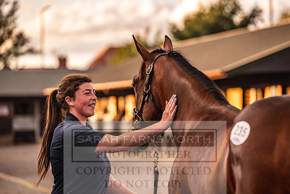 Goffs UK Premier Yearling Sale 2023-314