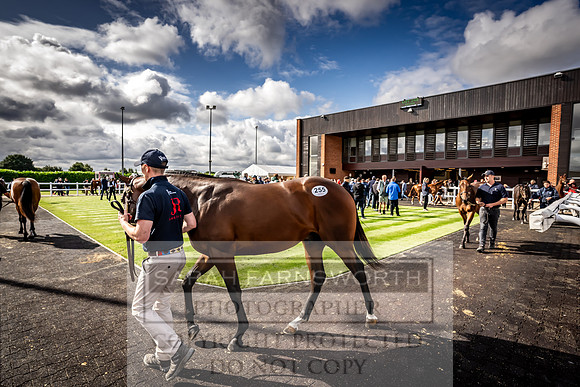 Goffs UK Premier Yearling Sale 2023-407