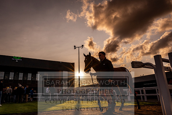 Goffs UK Premier Yearling Sale 2023-304