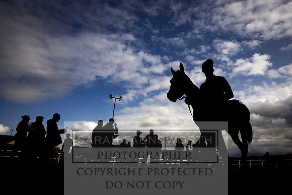 Goffs UK Premier Yearling Sale 2023-246