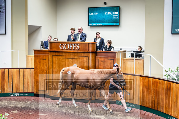 Goffs UK Premier Yearling Sale 2023-496