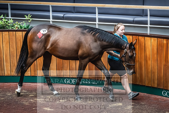 Goffs UK Premier Yearling Sale 2023-448