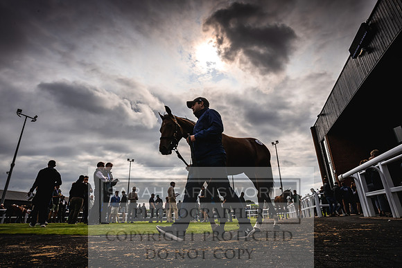 Goffs UK Premier Yearling Sale 2023-140