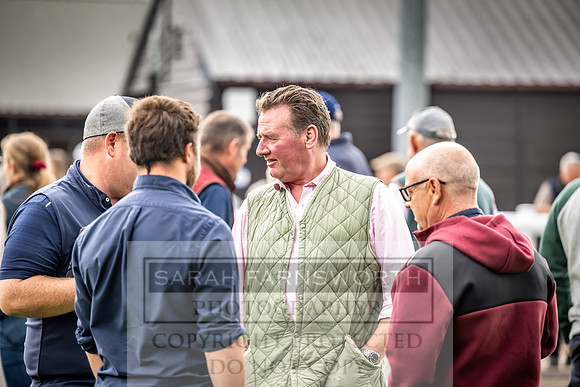Goffs UK Premier Yearling Sale 2023-164
