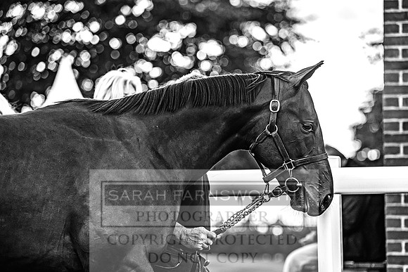 Goffs UK Premier Yearling Sale 2023-325
