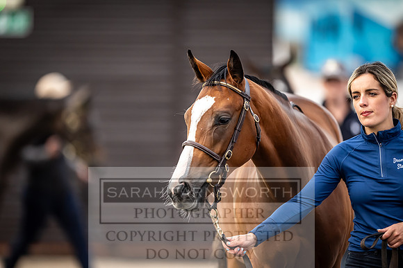 Goffs UK Premier Yearling Sale 2023-270