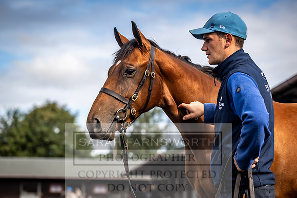 Goffs UK Premier Yearling Sale 2023-347