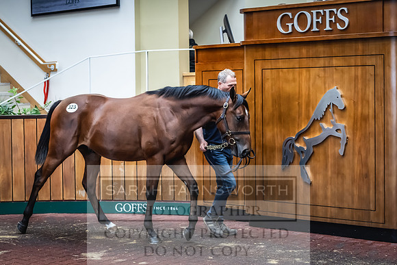 Goffs UK Premier Yearling Sale 2023-444