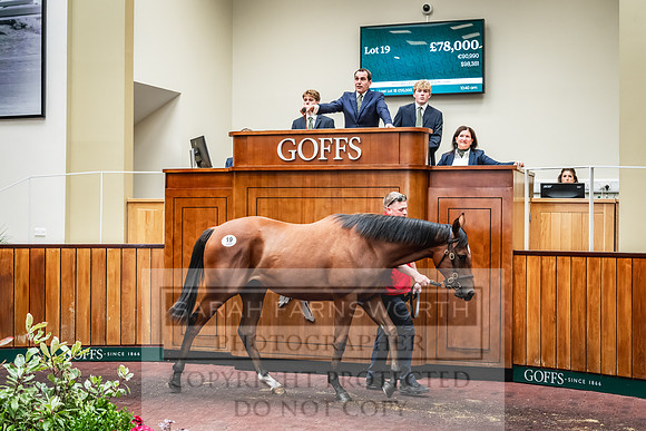 Goffs UK Premier Yearling Sale 2023-128