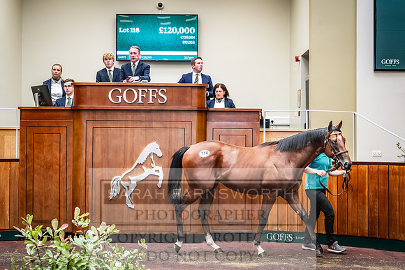 Goffs UK Premier Yearling Sale 2023-231