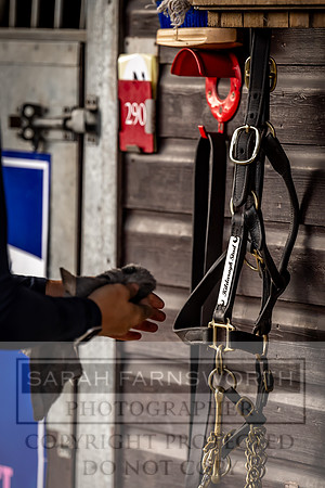 Goffs UK Premier Yearling Sale 2023-359