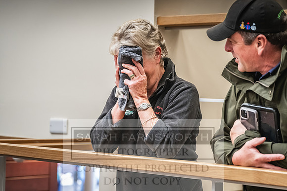 Goffs UK Premier Yearling Sale 2023-184