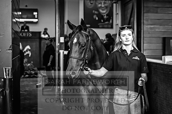 Goffs UK Premier Yearling Sale 2023-535