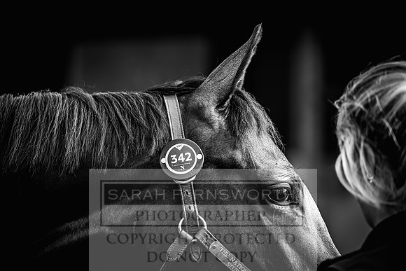 Goffs UK Premier Yearling Sale 2023-385