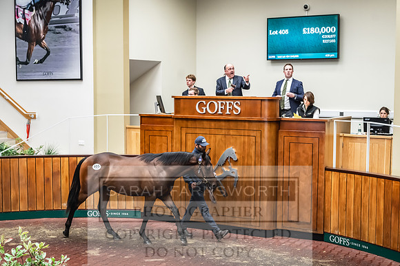 Goffs UK Premier Yearling Sale 2023-504