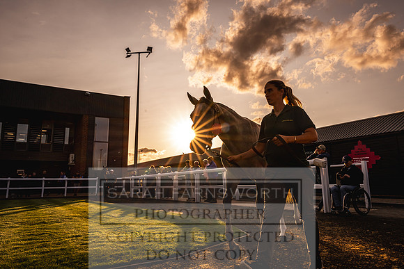 Goffs UK Premier Yearling Sale 2023-309